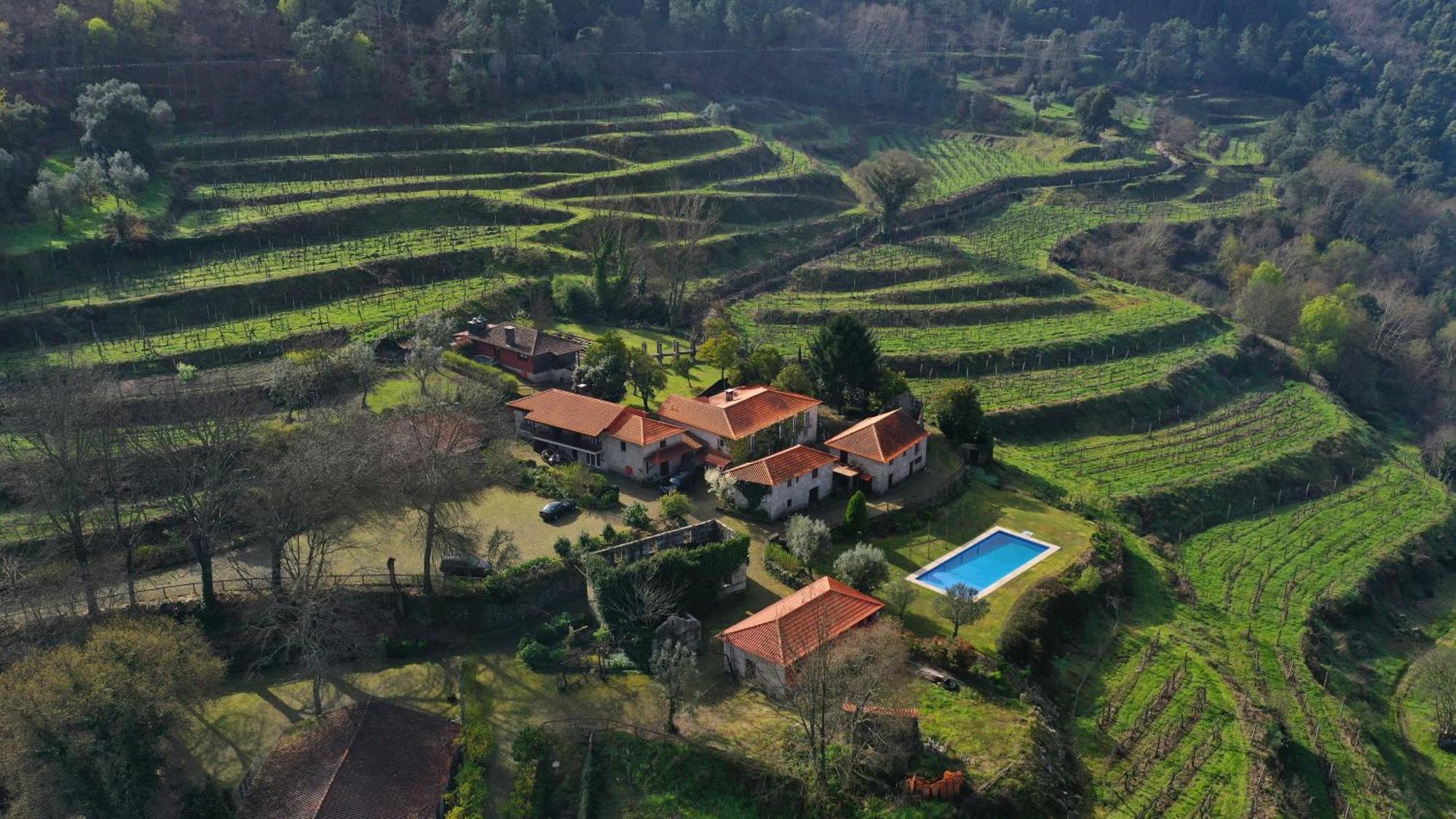 Quinta Da Pousadela - Agroturismo Pensionat Amarante Exteriör bild