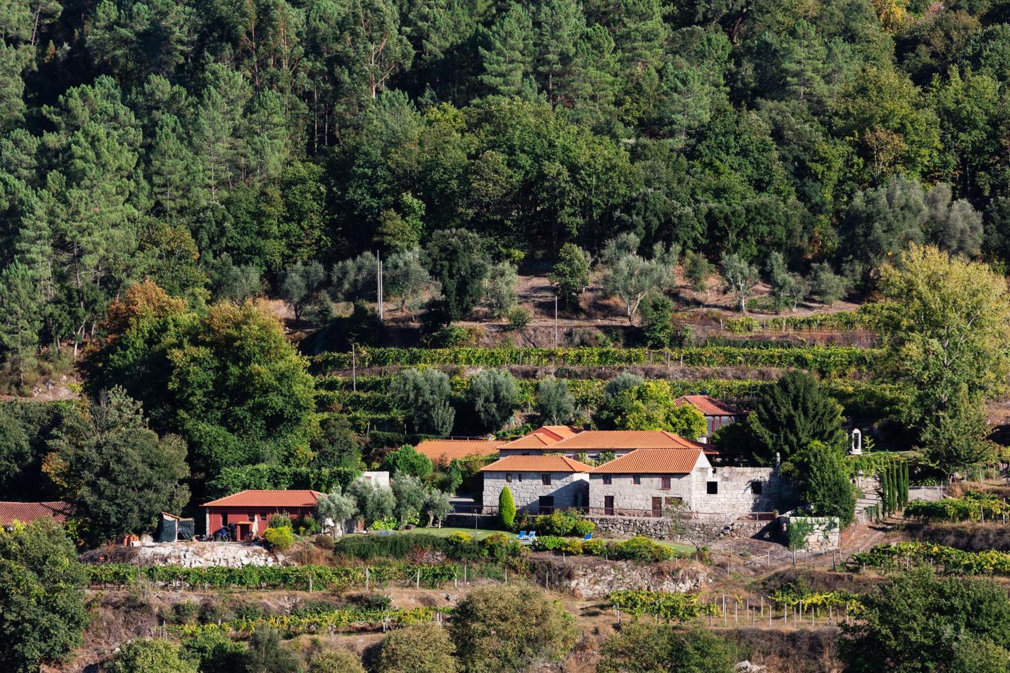 Quinta Da Pousadela - Agroturismo Pensionat Amarante Exteriör bild