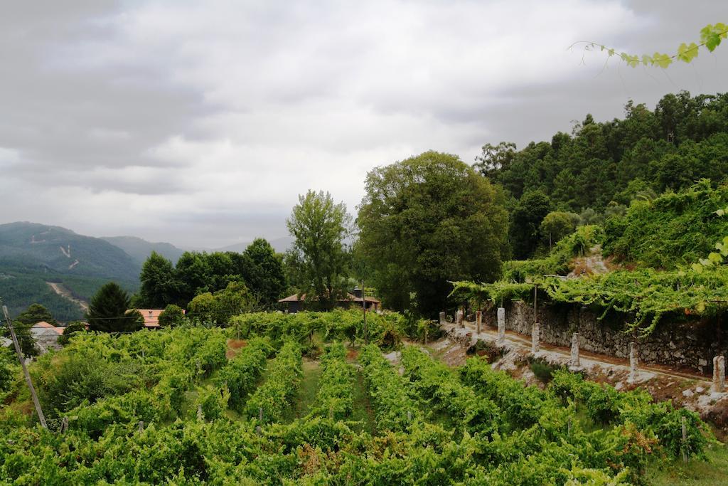 Quinta Da Pousadela - Agroturismo Pensionat Amarante Exteriör bild